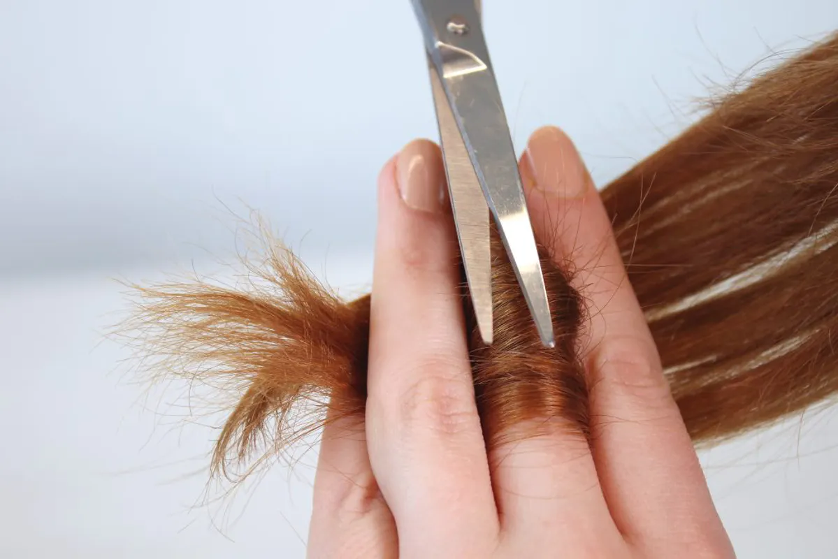 درمان ریشه مو چیست