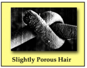 تخلخل مو چیست و چه تاثیری بر فرايند رنگ مو دارد؟ آموزش رنگ مو رایگان