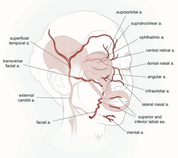 جوانسازی پوست صورت با تزریق فیلر:آناتومی صورت و عواملی که منجر به پیری پوست صورت می‌شوند و تجزیه و تحلیل پوست صورت برای ارزیابی