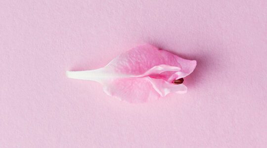 جراحی زیبایی واژن: عوارض، خطرات و تجربه عمل زیبایی واژن