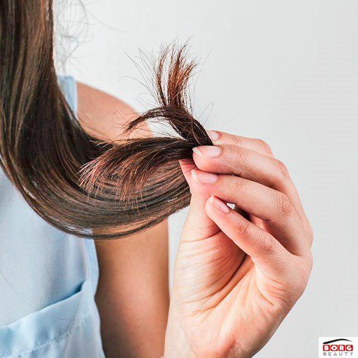 درمان موخوره و دوشاخه شدن مو=اگر به پوست سر برسد چه اتفاقی می افتد؟