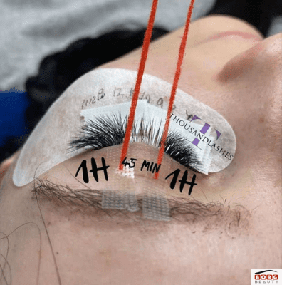 how-to-use-l-curl-lashes ححح